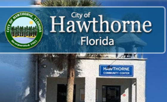 City of Hawtorn - City Election