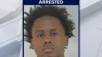 uzi5pua646