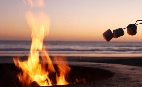 Ocean Beach Freedom Bonfire (Quarterly Event)